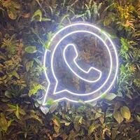 rekening-terkuras-penipuan-di-whatsapp-makan-banyak-korban