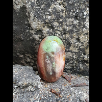 mustika-pelet-jaran-goyang