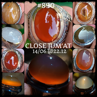 lelang-890-close-jum-at-14-06-2212