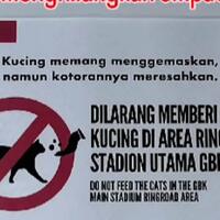 polemik-larangan-ngasih-makan-kucing-liar-pro-atau-kontra-nih-gansist