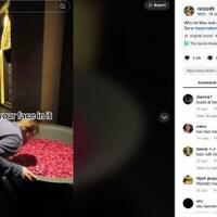 otak-ketinggalan-di-rumah-tiktoker-inggris-bertingkah-norak-di-bali-dirujak-netizen
