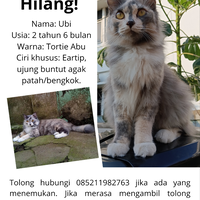 cat-lovers-kaskus-read-page-1-first---part-5