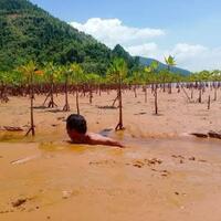 pengaruh-aktivitas-tambang-terhadap-ekosistem-terumbu-karang-dan-pesisir-pantai