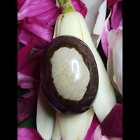 mustika-lembu-sekilan-sakti