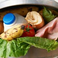 prestasi-menuju-indonesia-emas-2045-juara-buang-buang-makanan-551-triliun-per-tahun