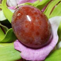 mustika-obat-impoten