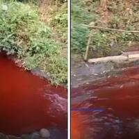 heboh-warna-air-sungai-berubah-jadi-merah-di-malang-warga-kaitkan-dengan-hal-mistis