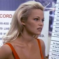 pamela-anderson-laki-laki-yang-suka-payudara-besar-cenderung-miskin