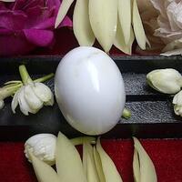 mustika-bangau-putih