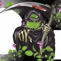 ngeri-ternyata-masih-ada-warga-ri-konsumsi-kecubung-padahal-buah-mematikan