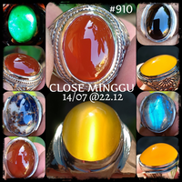 lelang-910-close-minggu-14-07-2212