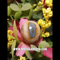 mustika-vagina-binal