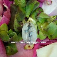 mustika-putri-pengasih