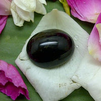 mustika-kumbang-padjajaran