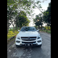 mercy-ml-250-cdi-diesel-2013-putih