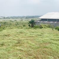 jual-tanah-2286-m2-di-randuagung-singosari-malang-dekat-pasar-singosari