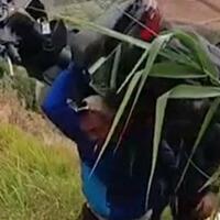 samson-jawa-pemuda-batang-ini-bantu-pengendara-dengan-panggul-motor-matic-sendirian