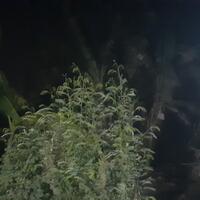 post-image