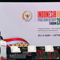 laju-investasi-ri---afrika-perkuat-diplomasi-geopolitik-selatan--selatan