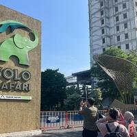 tstj-beberkan-penyebab-matinya-2-gajah-di-solo-safari