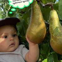 nanda-gita-mau-yang-sulit-sulit