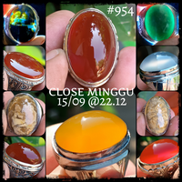 lelang-954-close-minggu-15-09-2212