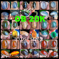 lelang-955--ob-20k-singkat-close-senin-16-09-2212