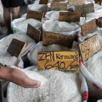badan-pangan-akui-harga-beras-ri-tinggi-saat-membahagiakan-petani