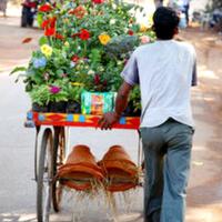 penjual-tanaman-keliling-kian-langka-kapan-kamu-terakhir-beli-support-mereka-yuk