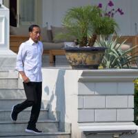 jokowi-bawa-43-kambing-peliharaan-ke-solo-pening-kepalanya