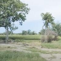 jual-tanah-22620-m2-di-jl-paluh-merbau-percut-sei-tuan-deli-serdang