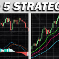 zoom-16-november-2024-live-trading-advanced-option-workshop---pelatihan-lanjutan