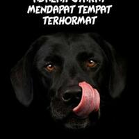 nama-kabinet-prabowo-kabinet-merah-putih