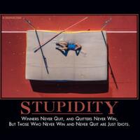 stupidity