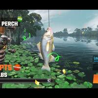 fishing-master-mod-apk-unduh-gratis-versi-terbaru-untuk-android-versi-2024
