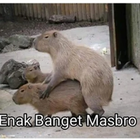 ivan-sugianto-minta-maaf-usai-siswa-sma-sujud-dan-menggonggong-janji-serahkan