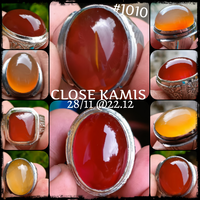 lelang-1010-close-kamis-28-11-2212
