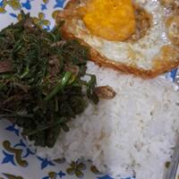 fresh-chapter-of-dear-diary---part-5