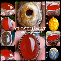 lelang-1016-singkat-close-jum-at-06-12-2212