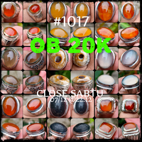 lelang-1017--ob-20k-singkat-close-sabtu-07-12-2212