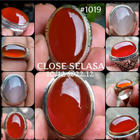 lelang-1019-close-selasa-10-12-2212