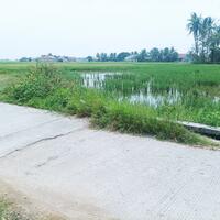 jual-tanah-6263-m2-di-mauk-tangerang-dekat-pasar-mauk-sman-2-kabupaten-tangerang