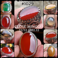 lelang-1029-close-minggu-22-12-2212