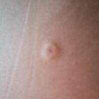 fresh-chapter-of-dear-diary---part-5