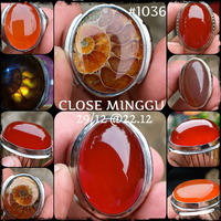 lelang-1036-close-minggu-29-12-2212