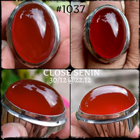 lelang-1037-close-senin-29-12-2212