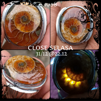 lelang-1038-close-selasa-31-12-2212