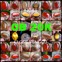 lelang-1043--ob-20k-singkat-close-minggu-05-01-2212