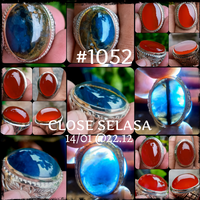 lelang-1052-close-selasa-14-01-2212