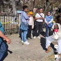 curhat-balabala-amis